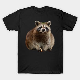 Fat Raccoon T-Shirt